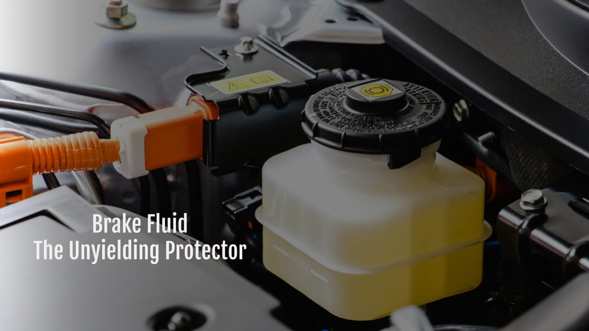 Brake fluid-The Unyielding Protector