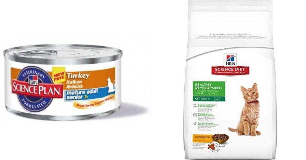 Top 5 Cat food-Hill's Science Diet cat food. "Turkey Pate" for mature adult cats and a bag of dry food labeled "Healthy Development" for kittens