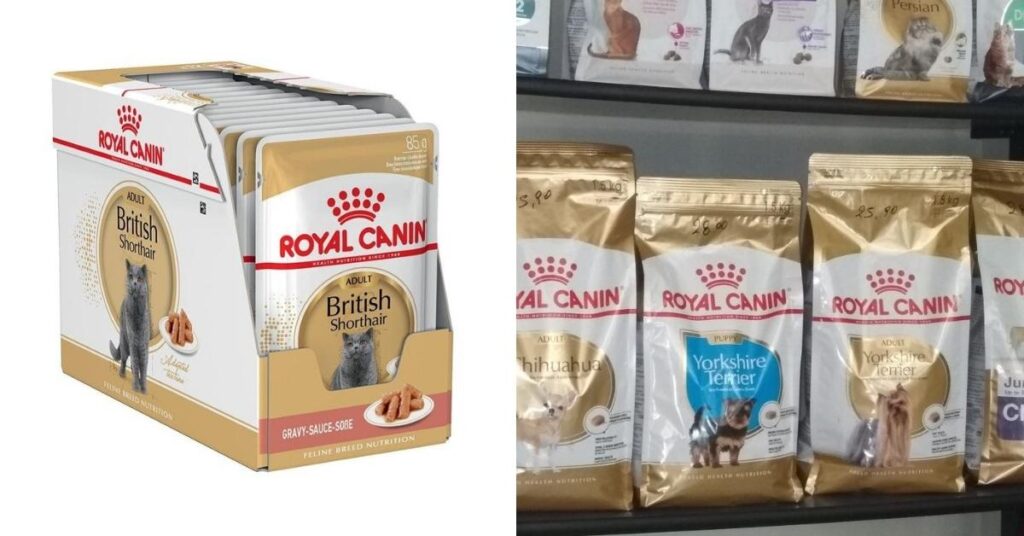 Top 5 Cat food-Royal Canin pet food for British Shorthair cats