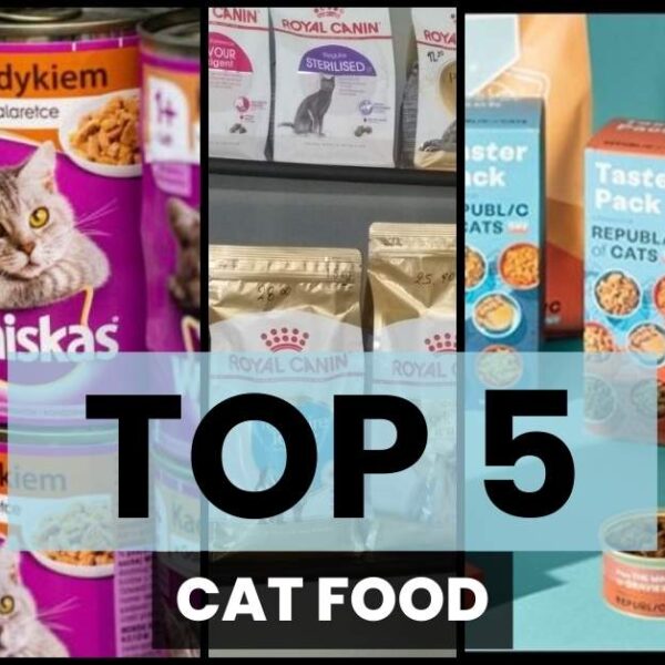 Top 5 Cat food in the World