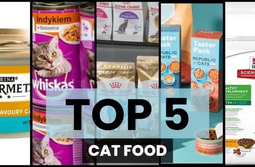 Top 5 Cat food brands, including Purina Gourmet, Whiskas, Royal Canin, Poppy Taster Packs, and Hill's Science Diet.